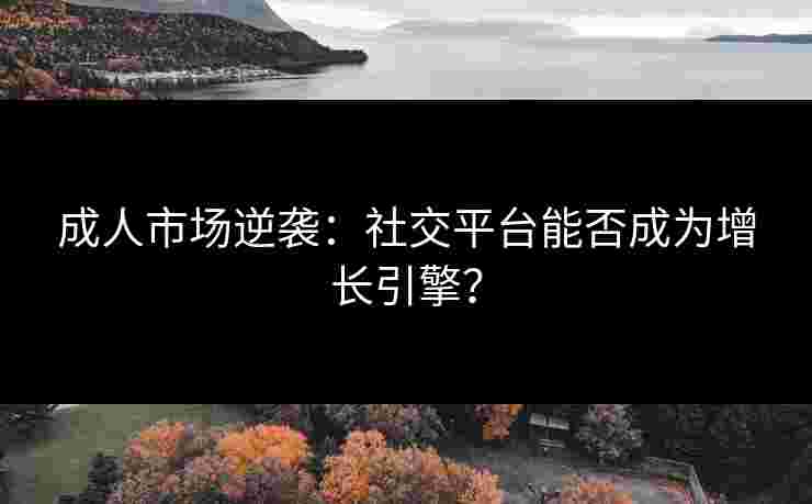 成人市场逆袭:社交平台能否成为增长引擎? 成人市场逆袭:社交平台能否成为增长引擎?